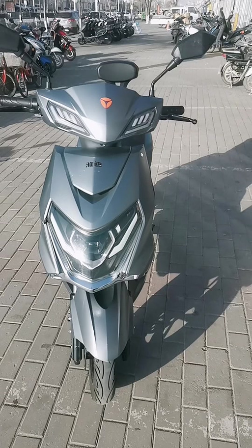 鹰的名字霸气点的