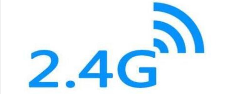 2.4g