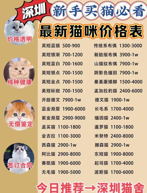猫回收店价格表