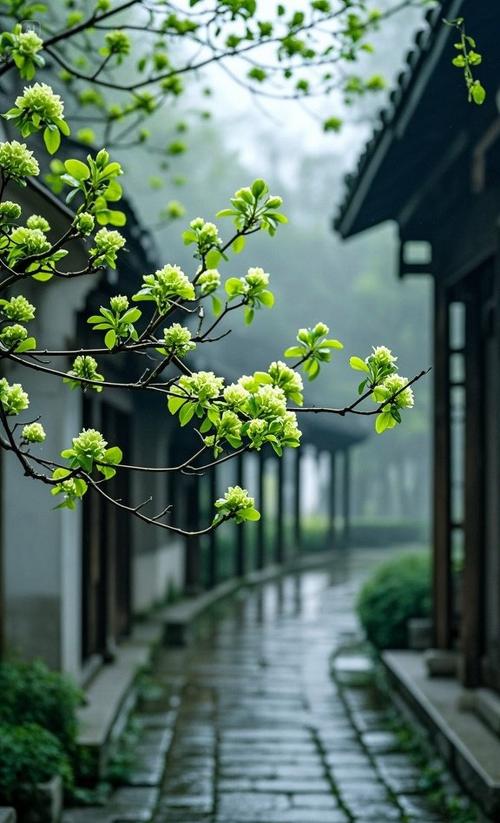 江南烟雨歌曲截图