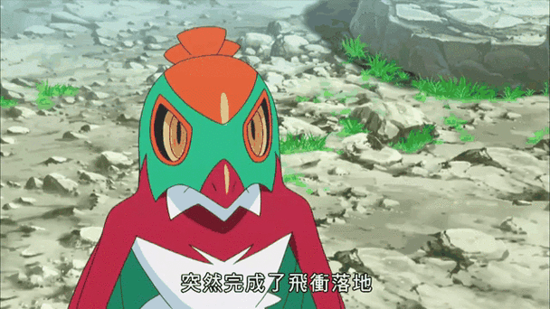 神奇宝贝战斗飞鸟