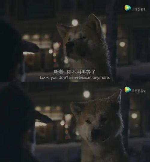 嘿了了啰是什么歌曲