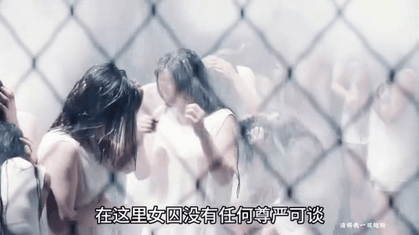 请赐我上次的观看