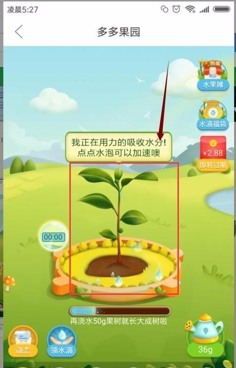 多多果园水滴雨在哪