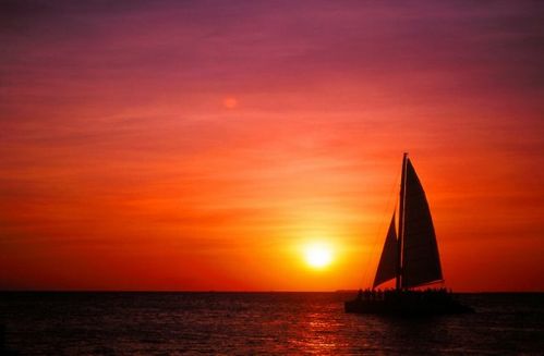 HoneymoonIsland[v5.0]汉化版