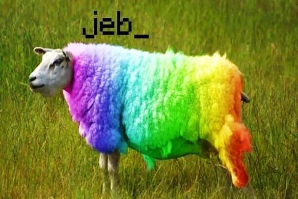 变色羊命名牌jeb