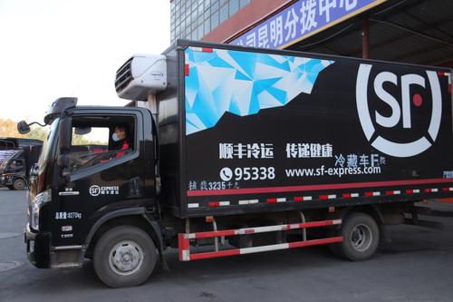 顺丰冷链是什么意思游戏截图