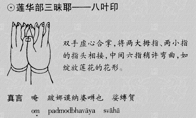 莲花部截图