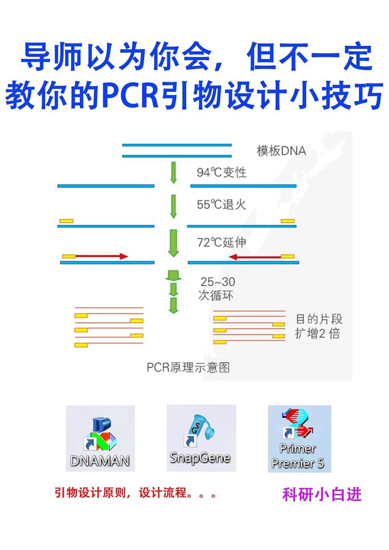 想和前女友复合该怎么开口