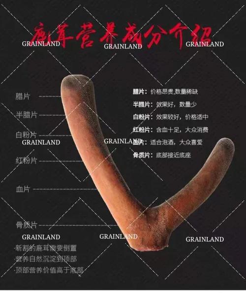 鹿茸煮了之后皮掉了