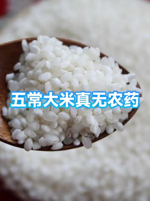 五常大米的卖点缩略图