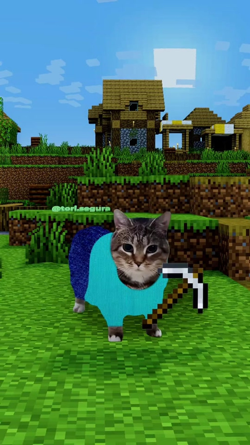 我的世界猫皮肤展开图