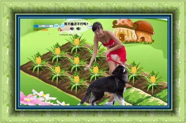 农场改制国家为何叫停