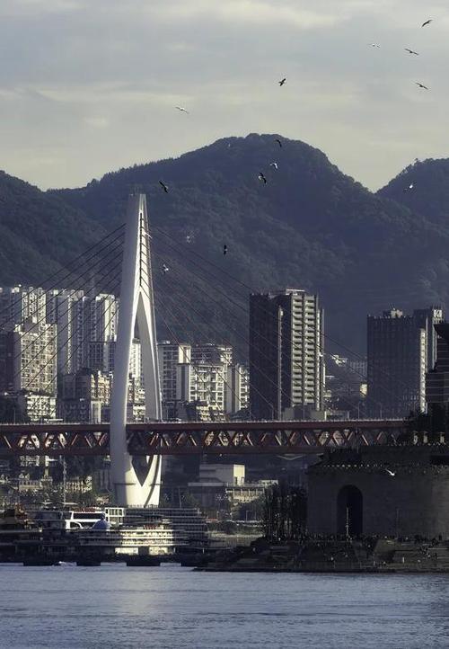 精灵信使费如何取消