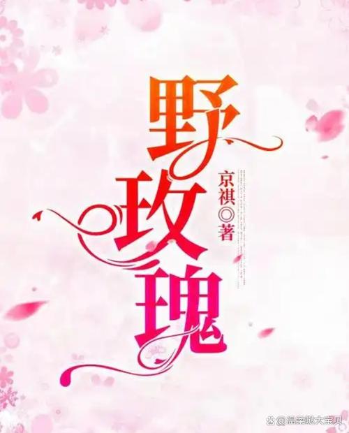 玫瑰瓣小说