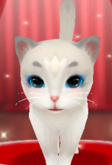 晴天小猫最新版下载