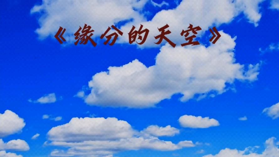 缘分的天空下载游戏截图