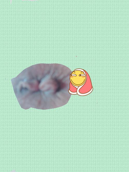 肛门有一片软肉是什么图标
