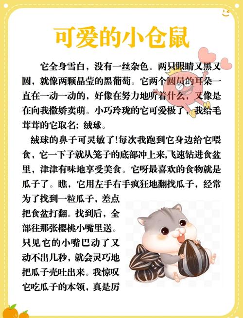 小仓鼠简介