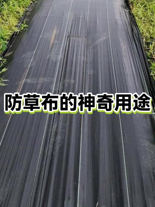 在太阳底下拍照怎么不反光
