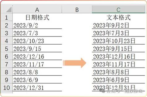 文本格式怎么弄
