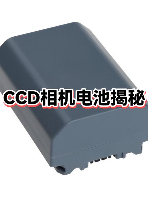 相机电池多久能充满游戏截图