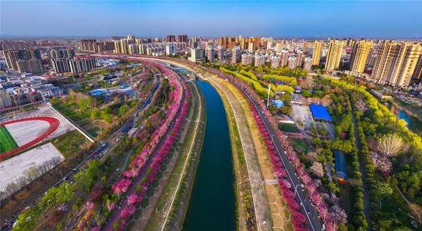 海棠市