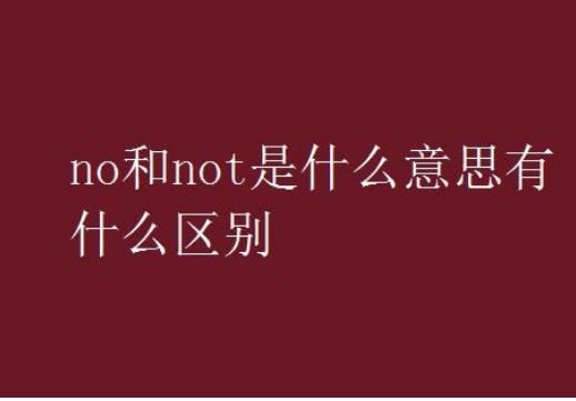 not在形容词中的作用