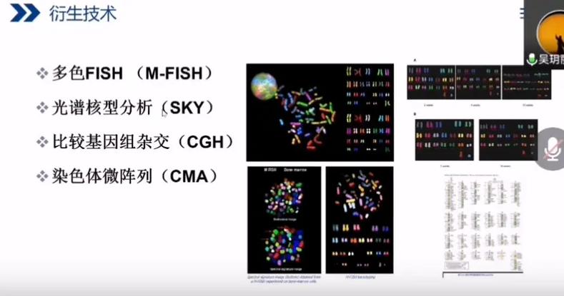 FISH三个指标