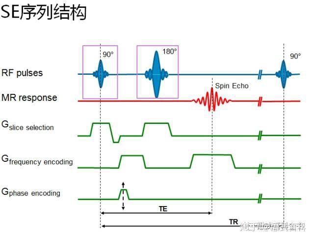 磁共振dixon序列