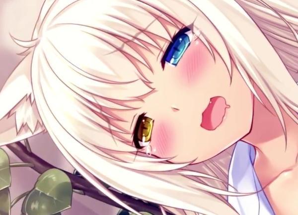 nekopara18x内容视频图标
