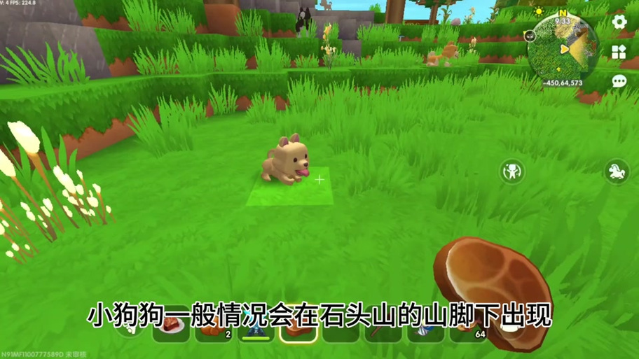 在迷你世界中如何驯服狗