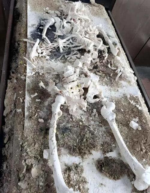 中国火葬的背后真相