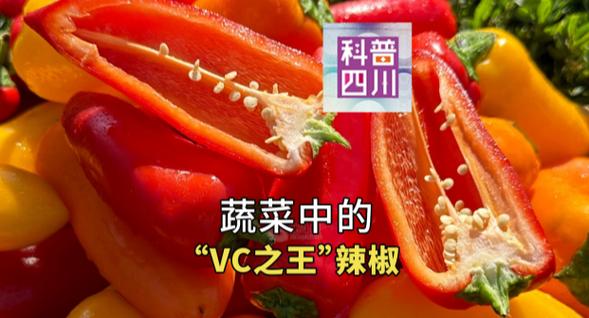 辣椒小视频app下载