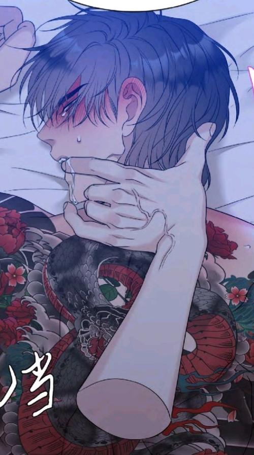 柳乱舞的漫画免费阅读