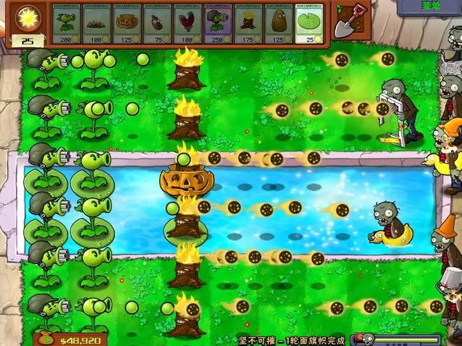 植物大战僵尸年度版2010缩略图