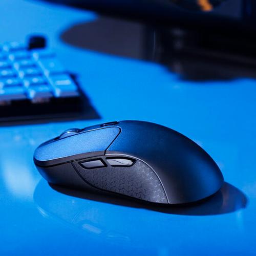 tai laban key