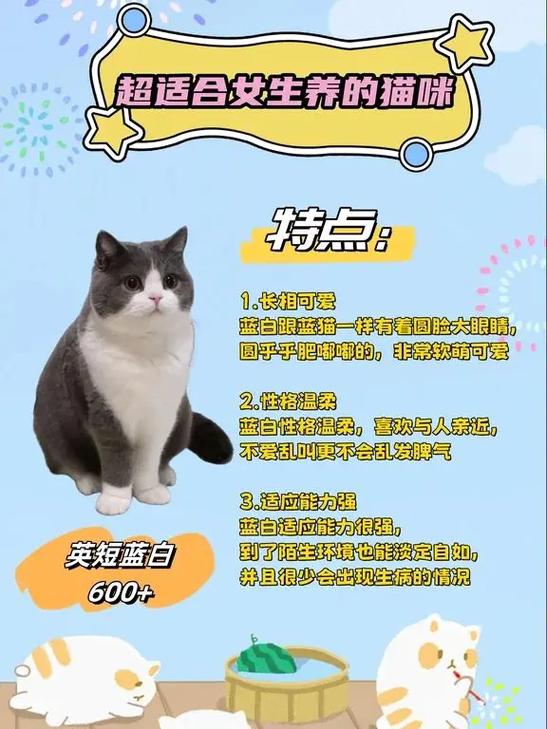 新手养猫十大注意事项