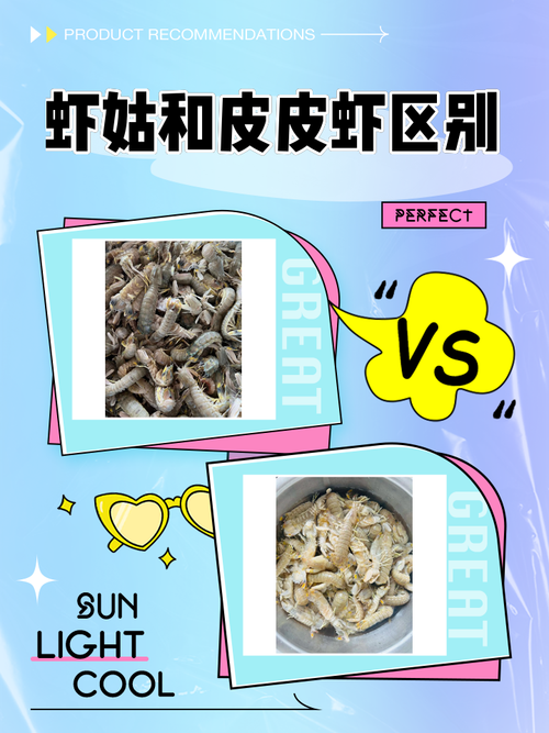 虾姑娘和皮皮虾的区别