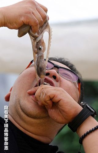 韩国吃生八爪鱼