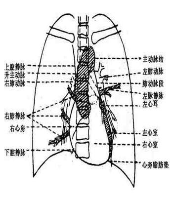 经典循环视角电影