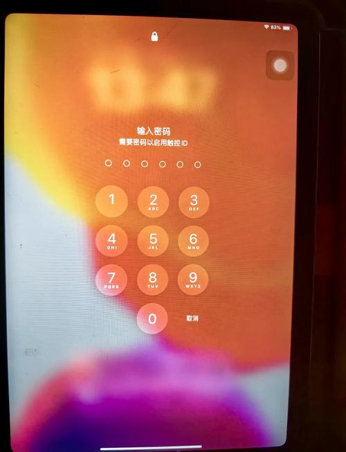 ipad出现语音密码输入不了