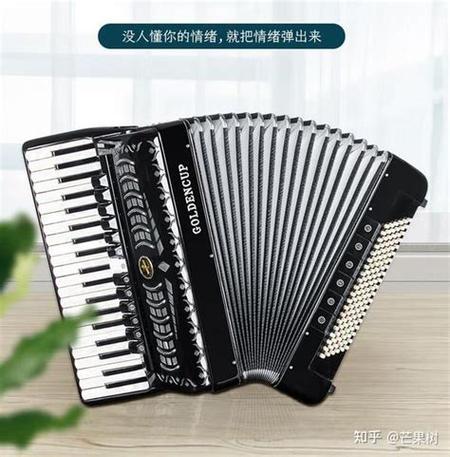 国产手风琴十大品牌缩略图