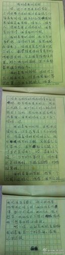 小熊乐乐的作文