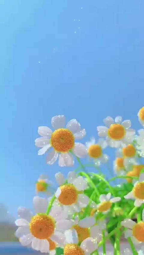 生活需要一些热爱和心动