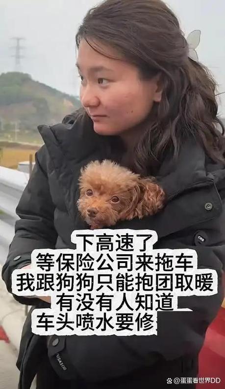 跟别人拼车对方带了宠物狗