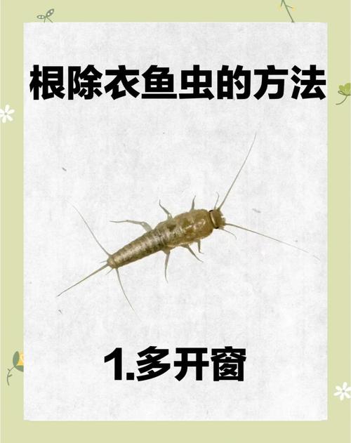 衣鱼虫怎么彻底消除