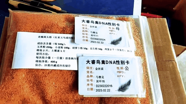鹦鹉验卡会有假的吗