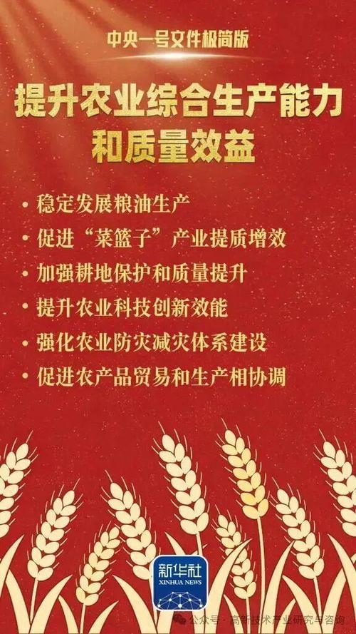 中央一号文件原文PDF