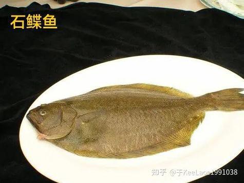 小嘴鱼和偏口鱼哪个贵